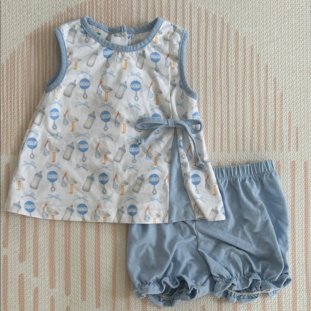 Big Sister Blue Stork Outfit Set